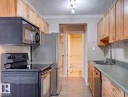 Kitchen area with modern appliances, tons of storage space, large double sink, and upgraded plumbing fixtures - 