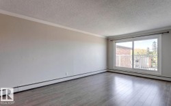 Spacious and bright living space - huge west facing window for beautiful evening views and lots of natural light - 