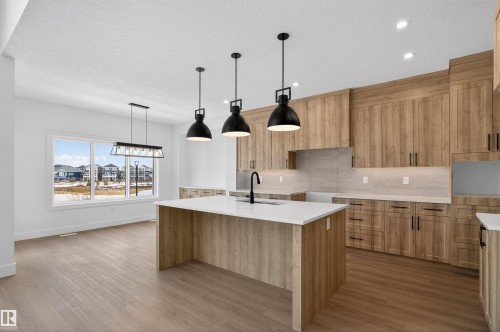 16512 34 Avenue, Edmonton, AB - Indoor Photo Showing Kitchen With Upgraded Kitchen