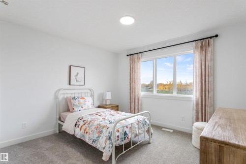 3040 197 Street, Edmonton, AB - Indoor Photo Showing Bedroom