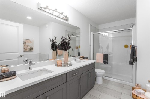 3032 197 Street, Edmonton, AB - Indoor Photo Showing Bathroom