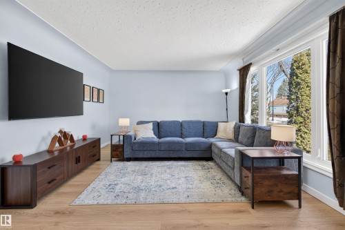 10366 148 Street, Edmonton, AB - Indoor Photo Showing Living Room