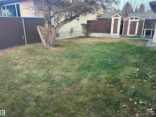 The property features a spacious yard with a mature tree, two storage sheds, and a paved patio area - 14911 77 Street Nw, Edmonton, AB - Outdoor