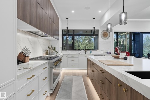 14312 92A Avenue, Edmonton, AB - Indoor Photo Showing Kitchen With Upgraded Kitchen