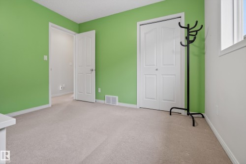 This room features light-colored carpeting, bright green walls, and white trim - 1119 Rutherford Close, Edmonton, AB - Indoor Photo Showing Other Room