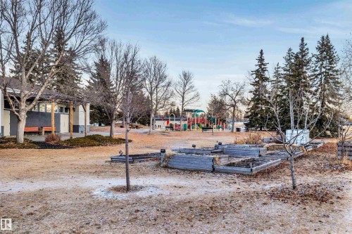 View of yard featuring a garden and a patio area - 11231 41 Avenue, Edmonton, AB - Outdoor