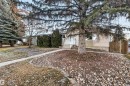 View of property hidden behind natural elements with entry steps - 11231 41 Avenue, Edmonton, AB  - Outdoor 
