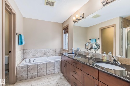 1204 Colonel Stone Avenue, Edmonton, AB - Indoor Photo Showing Bathroom