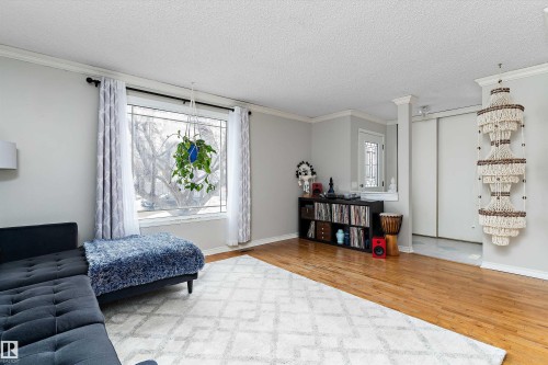 3536 12A Ave, Edmonton, AB - Indoor Photo Showing Living Room