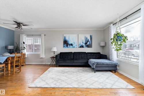 3536 12A Ave, Edmonton, AB - Indoor Photo Showing Living Room