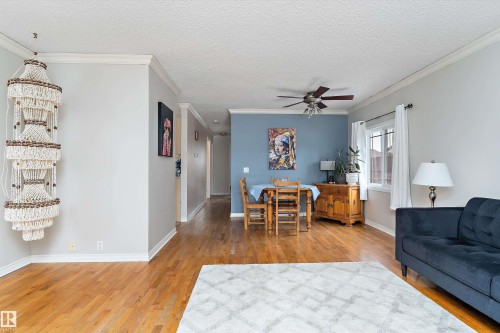 3536 12A Ave, Edmonton, AB - Indoor Photo Showing Living Room