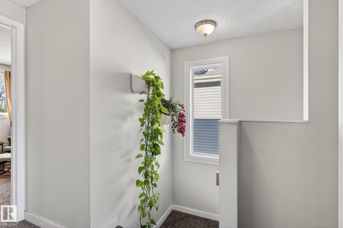 Landing area featuring a window, light-colored walls, and carpeted flooring - 1873 151 Avenue, Edmonton, AB - Indoor Photo Showing Other Room