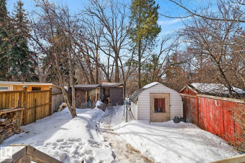 The yard features a wooden fence, mature trees, and a white shed with a gabled roof - 1873 151 Avenue, Edmonton, AB - Outdoor