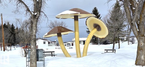 4903 49 Avenue, Vilna, AB - Outdoor