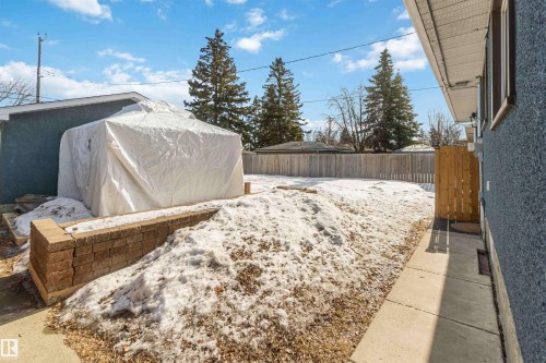The property features a fenced yard with a concrete walkway, a wood privacy fence, and mature trees in the surrounding landscape - 12121 38 Street, Edmonton, AB - Outdoor