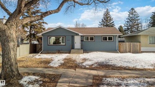 The property features a blue exterior, a brown roof, and a front yard with a mature tree - 12121 38 Street, Edmonton, AB - Outdoor