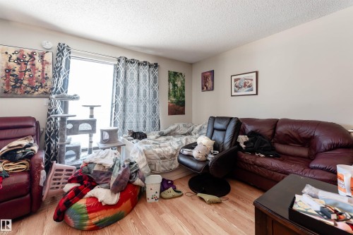 The property features light-colored walls and wood-look flooring - 2 10737 116 Street, Edmonton, AB - Indoor Photo Showing Living Room