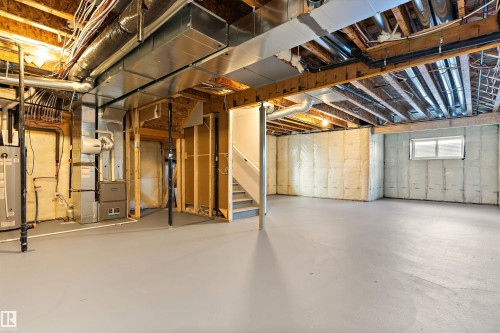 220 Edgemont Green, Edmonton, AB - Indoor Photo Showing Basement