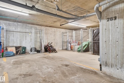 125 304 Ambleside Link Link, Edmonton, AB - Indoor Photo Showing Garage