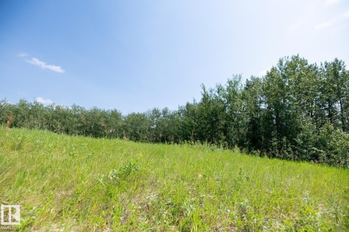 23246 Twp  Rd 521A, Rural Strathcona County, AB 
