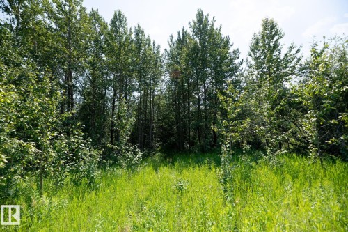 23246 Twp  Rd 521A, Rural Strathcona County, AB 