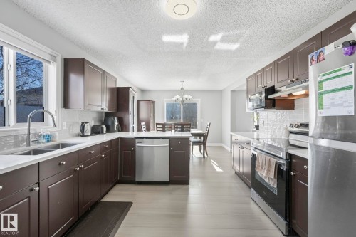 3504 21 Street, Edmonton, AB - Indoor Photo Showing Kitchen With Double Sink With Upgraded Kitchen
