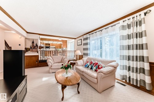 17911 57 Avenue, Edmonton, AB - Indoor Photo Showing Living Room
