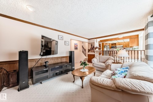 17911 57 Avenue, Edmonton, AB - Indoor Photo Showing Living Room