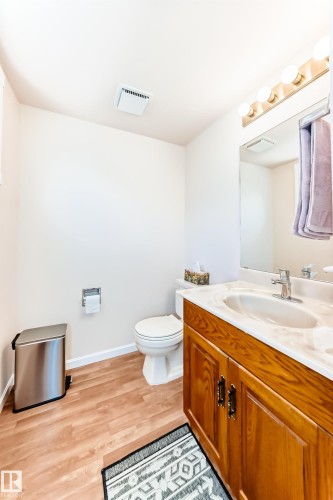 17911 57 Avenue, Edmonton, AB - Indoor Photo Showing Bathroom
