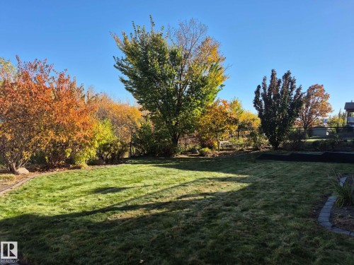 21 Willow Way, Stony Plain, AB - Outdoor