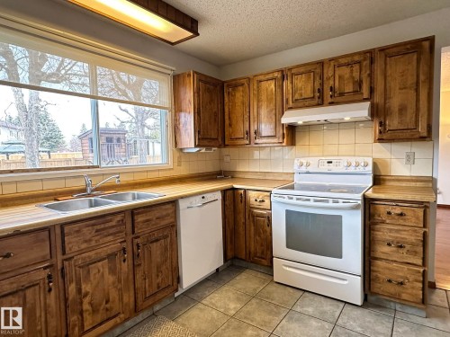 9928 181 Street, Edmonton, AB - Indoor Photo Showing Kitchen With Double Sink