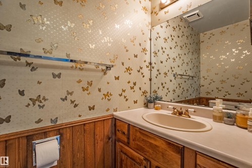 9928 181 Street, Edmonton, AB - Indoor Photo Showing Bathroom