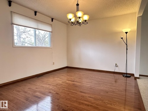 9928 181 Street, Edmonton, AB - Indoor Photo Showing Other Room