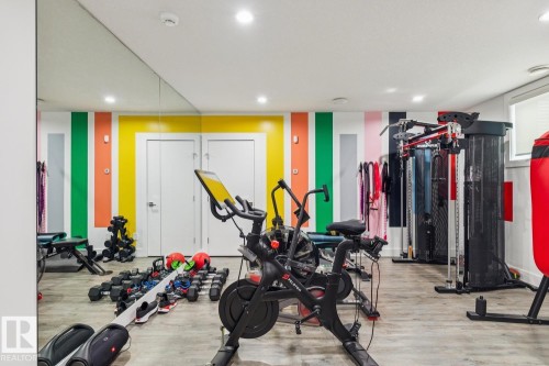 3631 Westcliff Way, Edmonton, AB - Indoor Photo Showing Gym Room