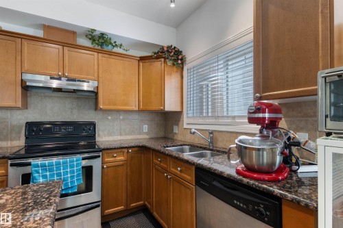 101 8931 156 Street, Edmonton, AB - Indoor Photo Showing Kitchen With Double Sink