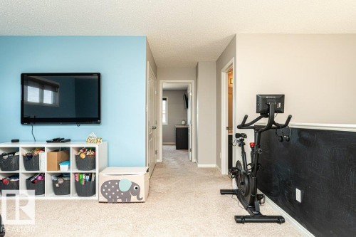 8727 Carson Way, Edmonton, AB - Indoor Photo Showing Gym Room