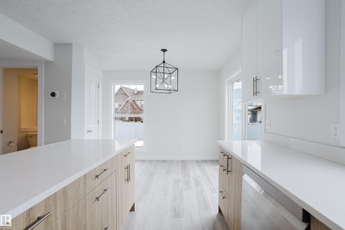 5604 202 Street, Edmonton, AB - Indoor Photo Showing Kitchen