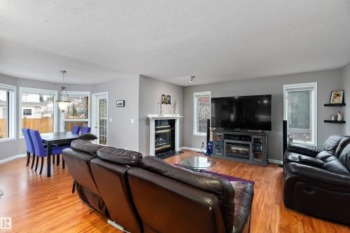 873 Ryan Pl, Edmonton, AB - Indoor Photo Showing Living Room With Fireplace