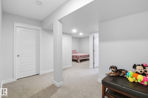 812 176 Street, Edmonton, AB - Indoor Photo Showing Other Room