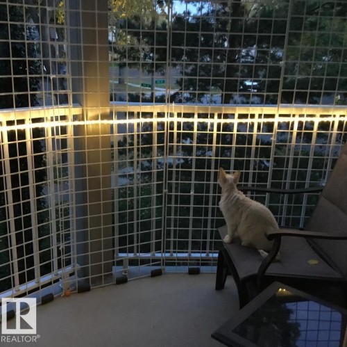 Balcony at nigh - 201 11408 108 Avenue, Edmonton, AB - 