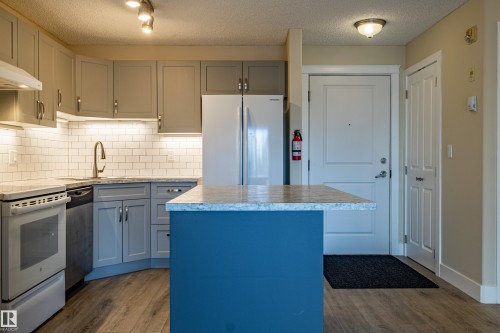 227 10535 122 Street, Edmonton, AB - Indoor Photo Showing Kitchen With Upgraded Kitchen