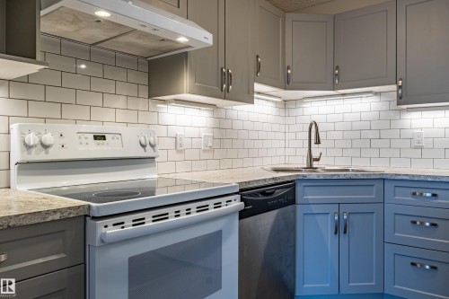 227 10535 122 Street, Edmonton, AB - Indoor Photo Showing Kitchen With Double Sink
