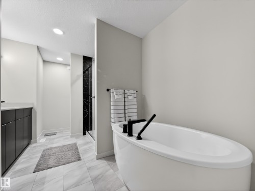 451 39 Street, Edmonton, AB - Indoor Photo Showing Bathroom