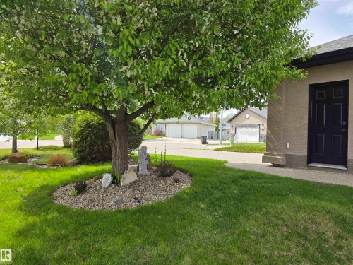 Landscaped front yard with mature flowering tree and stone accents - 4477 36 Street, Drayton Valley, AB - Outdoor