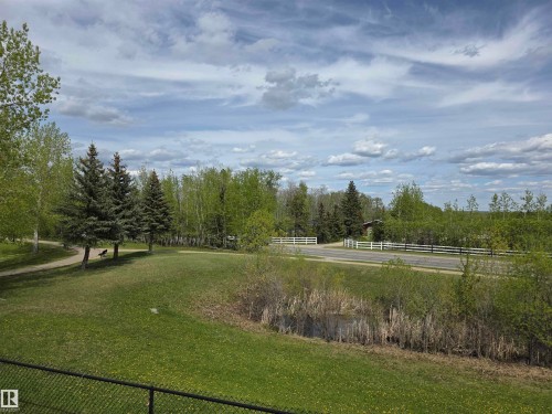Expansive green space featuring mature trees, a winding pathway, and a natural water feature - 4477 36 Street, Drayton Valley, AB - Outdoor With View