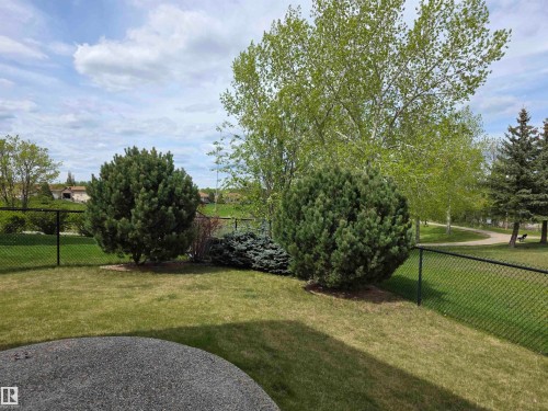 Grassy backyard with mature evergreen shrubs and deciduous trees - 4477 36 Street, Drayton Valley, AB - Outdoor
