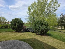 Grassy backyard with mature evergreen shrubs and deciduous trees - 