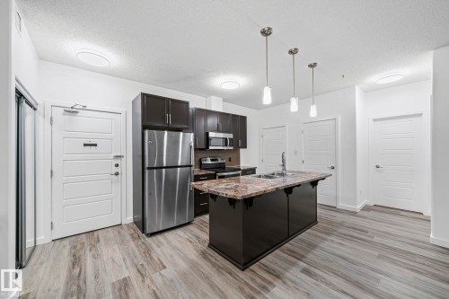 119 320 Ambleside Link Link, Edmonton, AB - Indoor Photo Showing Kitchen With Upgraded Kitchen