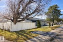 The property features a well-maintained lawn, established trees, and a white fence - 13204 131A Avenue, Edmonton, AB  - Outdoor 