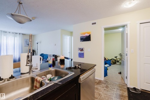 119 1510 Watt Drive, Edmonton, AB - Indoor Photo Showing Kitchen With Double Sink